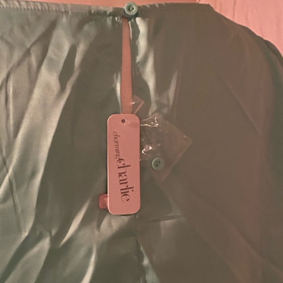 CHARLIE mint green silk blouse - Picture 4 of 4